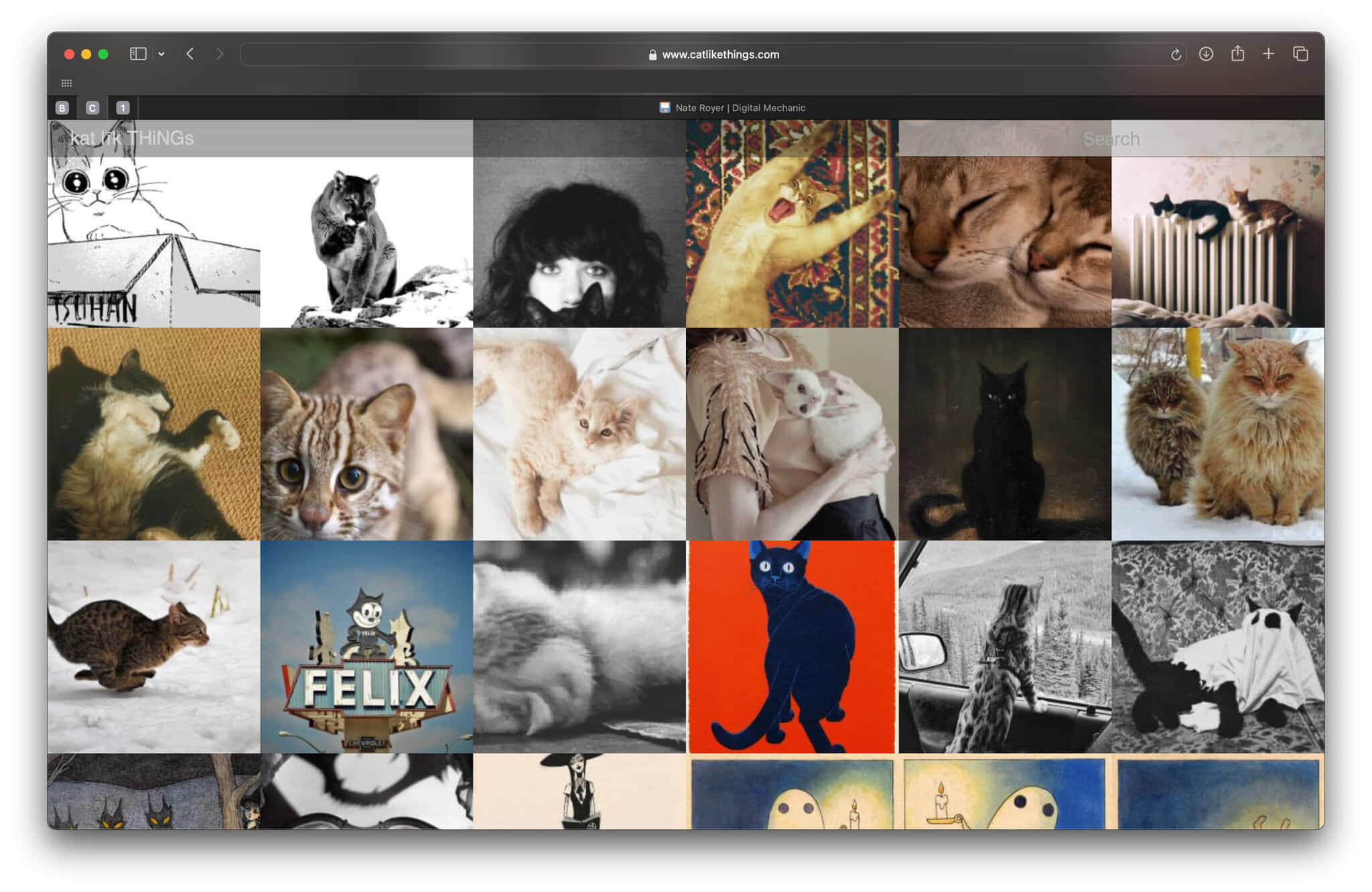 Screenshot of kat līk THiNGs (Cat Like Things)